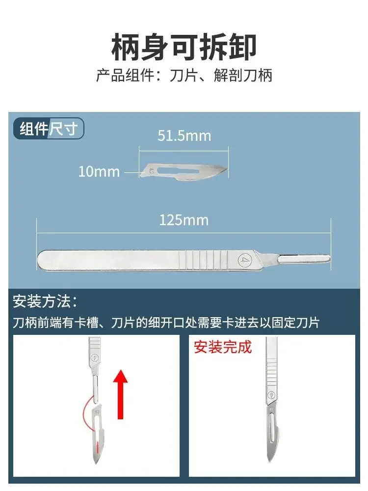 Stainless Steel Insect Dissect - Medical Lab And Science recension och pris
